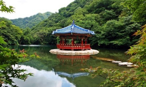 冬瓜子的吃法及功效有哪些