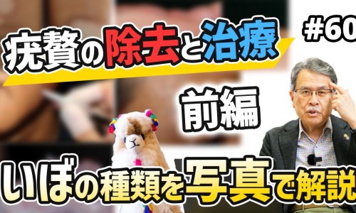 归脾丸功效与作用多少钱一盒-归脾丸和白矾的功效网- 归脾丸的功效与主治作用知识,分享归脾丸和逍遥丸一起吃的功效