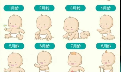 归脾丸和白矾的功效网- 归脾丸的功效与主治作用知识,分享归脾丸和逍遥丸一起吃的功效